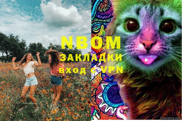 спиды Нея