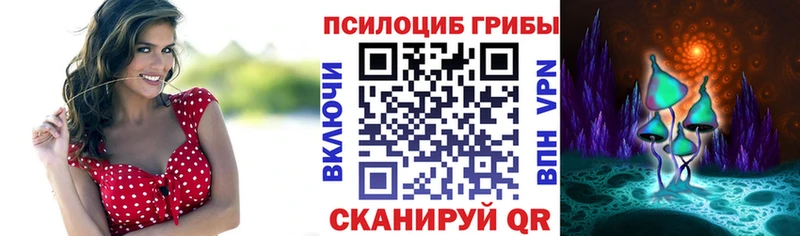Псилоцибиновые грибы GOLDEN TEACHER Агрыз